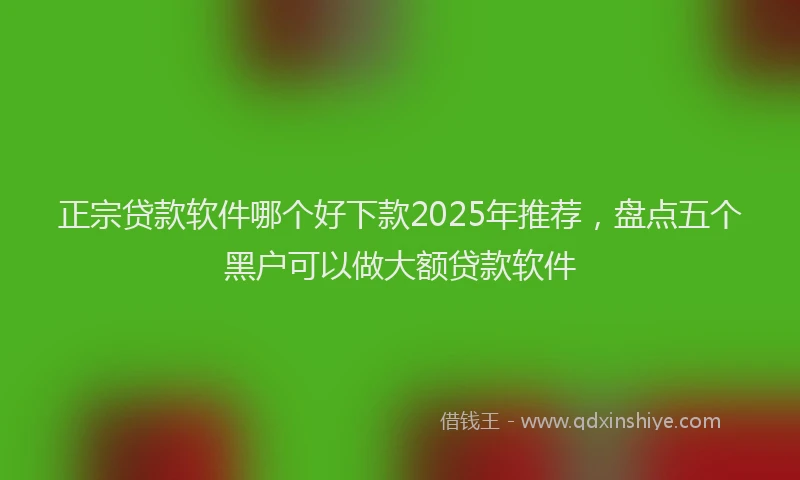正宗贷款软件哪个好下款2025年推荐，盘点五个黑户可以做大额贷款软件