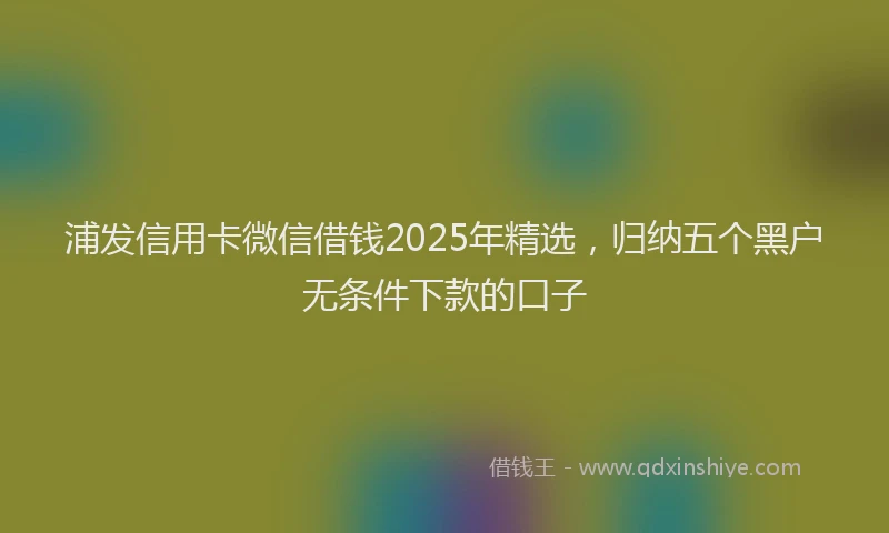 浦发信用卡微信借钱2025年精选，归纳五个黑户无条件下款的口子