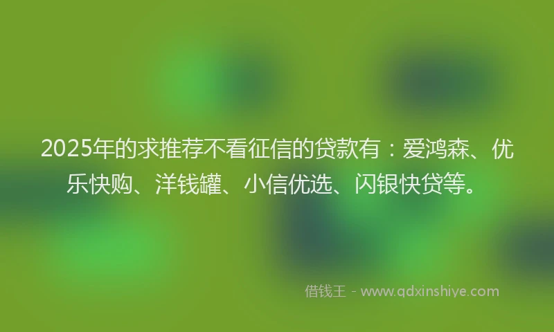 2025年的求推荐不看征信的贷款有：爱鸿森、优乐快购、洋钱罐、小信优选、闪银快贷等。