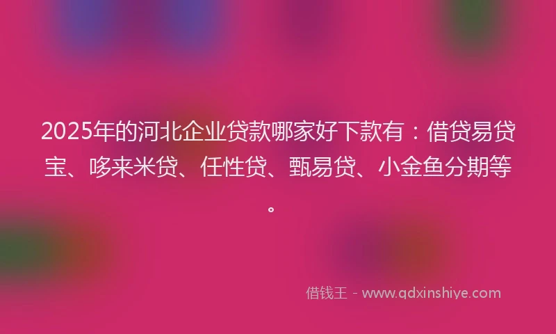 2025年的河北企业贷款哪家好下款有：借贷易贷宝、哆来米贷、任性贷、甄易贷、小金鱼分期等。