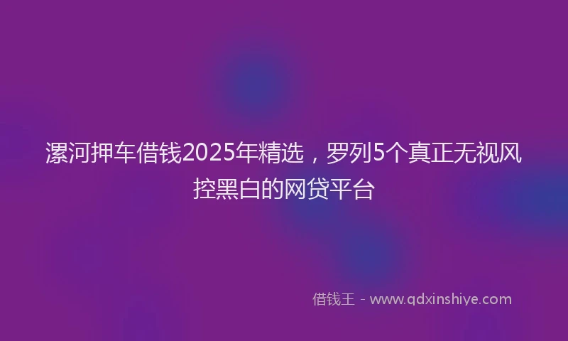 漯河押车借钱2025年精选，罗列5个真正无视风控黑白的网贷平台