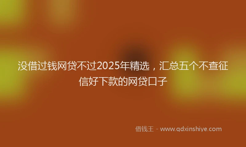 没借过钱网贷不过2025年精选，汇总五个不查征信好下款的网贷口子