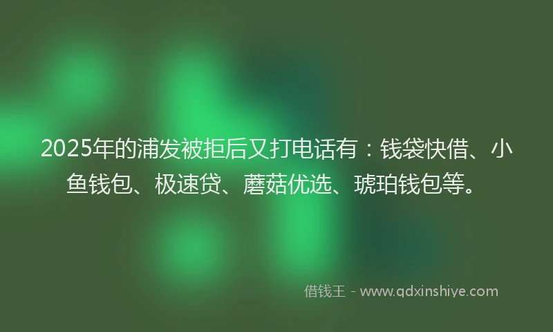 2025年的浦发被拒后又打电话有：钱袋快借、小鱼钱包、极速贷、蘑菇优选、琥珀钱包等。