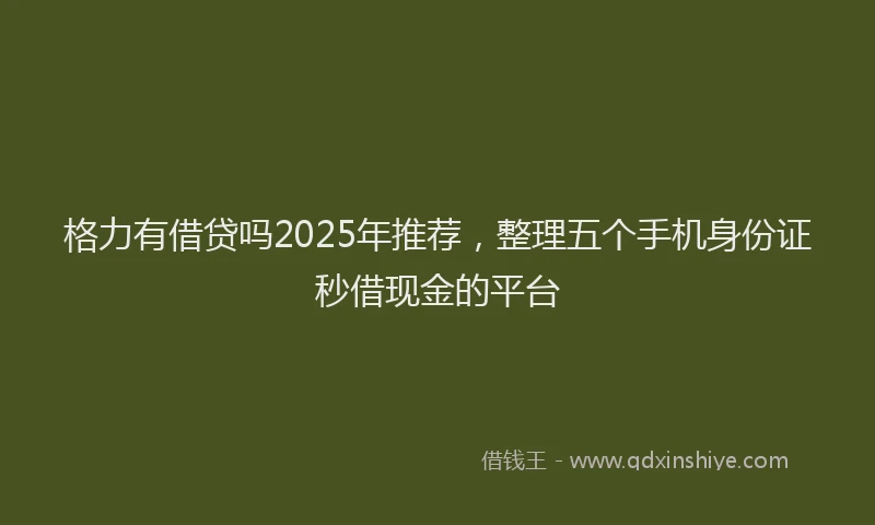 格力有借贷吗2025年推荐，整理五个手机身份证秒借现金的平台