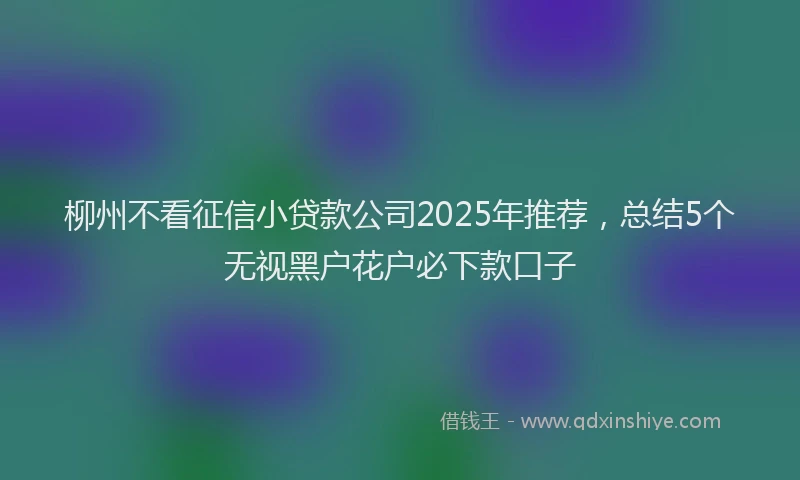 柳州不看征信小贷款公司2025年推荐，总结5个无视黑户花户必下款口子