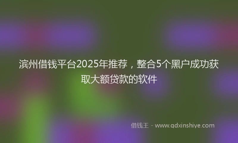 滨州借钱平台2025年推荐，整合5个黑户成功获取大额贷款的软件