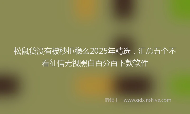 松鼠贷没有被秒拒稳么2025年精选，汇总五个不看征信无视黑白百分百下款软件