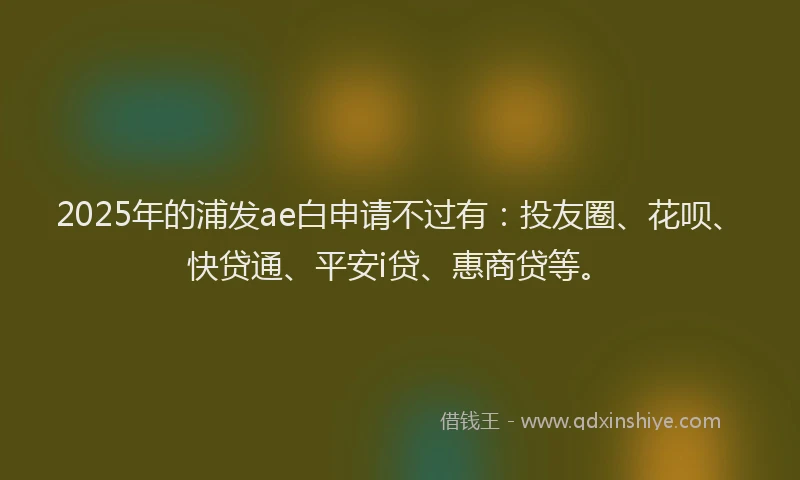 2025年的浦发ae白申请不过有：投友圈、花呗、快贷通、平安i贷、惠商贷等。
