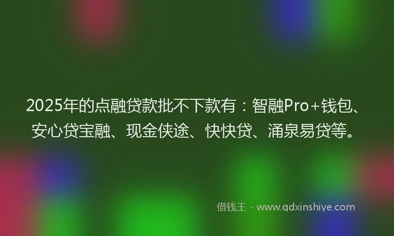 2025年的点融贷款批不下款有：智融Pro+钱包、安心贷宝融、现金侠途、快快贷、涌泉易贷等。