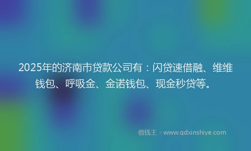 2025年的济南市贷款公司有：闪贷速借融、维维钱包、呼吸金、金诺钱包、现金秒贷等。