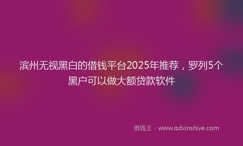 滨州无视黑白的借钱平台2025年推荐，罗列5个黑户可以做大额贷款软件