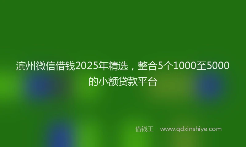 滨州微信借钱2025年精选，整合5个1000至5000的小额贷款平台