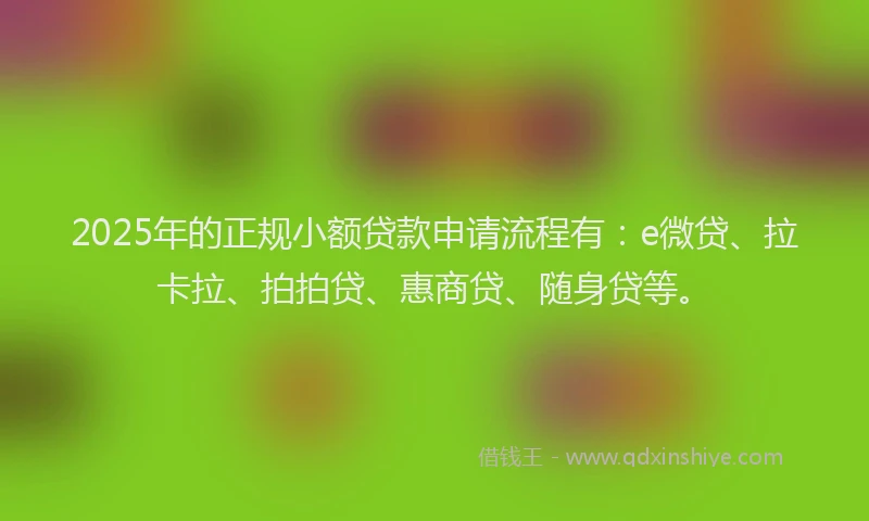 2025年的正规小额贷款申请流程有：e微贷、拉卡拉、拍拍贷、惠商贷、随身贷等。