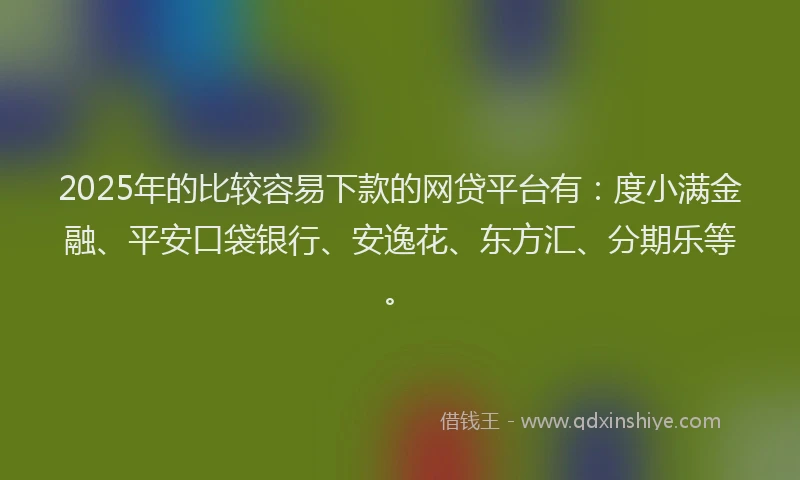 2025年的比较容易下款的网贷平台有：度小满金融、平安口袋银行、安逸花、东方汇、分期乐等。