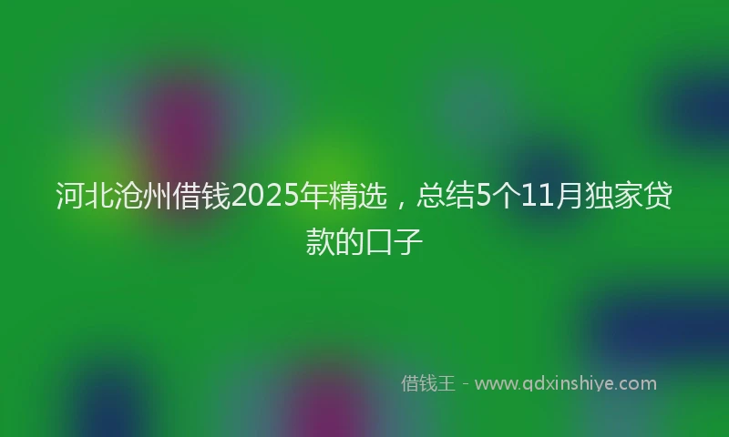 河北沧州借钱2025年精选，总结5个11月独家贷款的口子