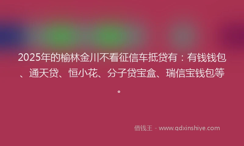 2025年的榆林金川不看征信车抵贷有：有钱钱包、通天贷、恒小花、分子贷宝盒、瑞信宝钱包等。