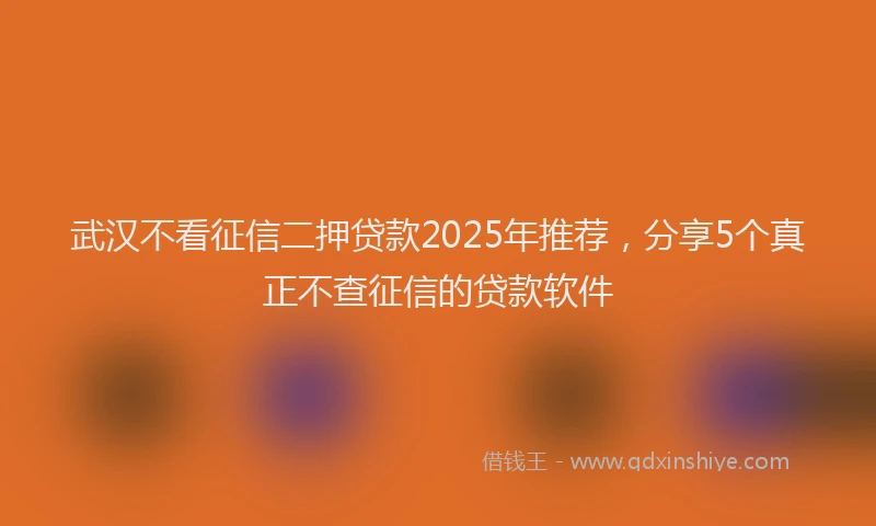 武汉不看征信二押贷款2025年推荐，分享5个真正不查征信的贷款软件
