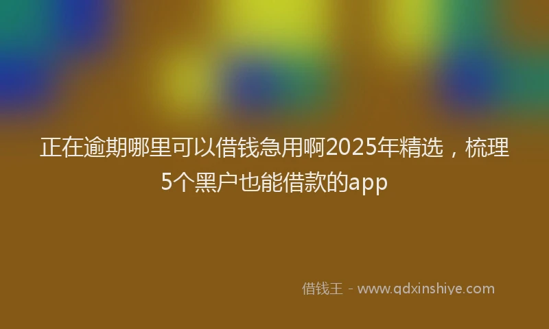 正在逾期哪里可以借钱急用啊2025年精选，梳理5个黑户也能借款的app