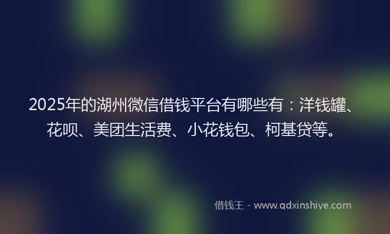 2025年的湖州微信借钱平台有哪些有：洋钱罐、花呗、美团生活费、小花钱包、柯基贷等。