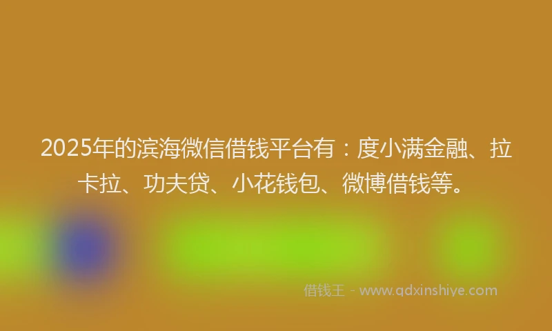 2025年的滨海微信借钱平台有：度小满金融、拉卡拉、功夫贷、小花钱包、微博借钱等。
