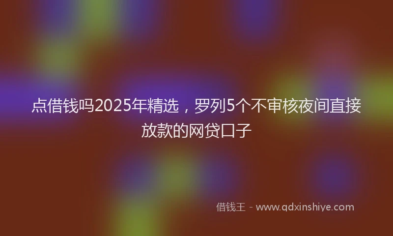 点借钱吗2025年精选，罗列5个不审核夜间直接放款的网贷口子