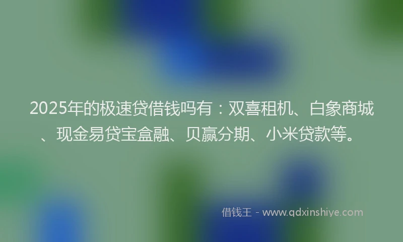 2025年的极速贷借钱吗有：双喜租机、白象商城、现金易贷宝盒融、贝赢分期、小米贷款等。