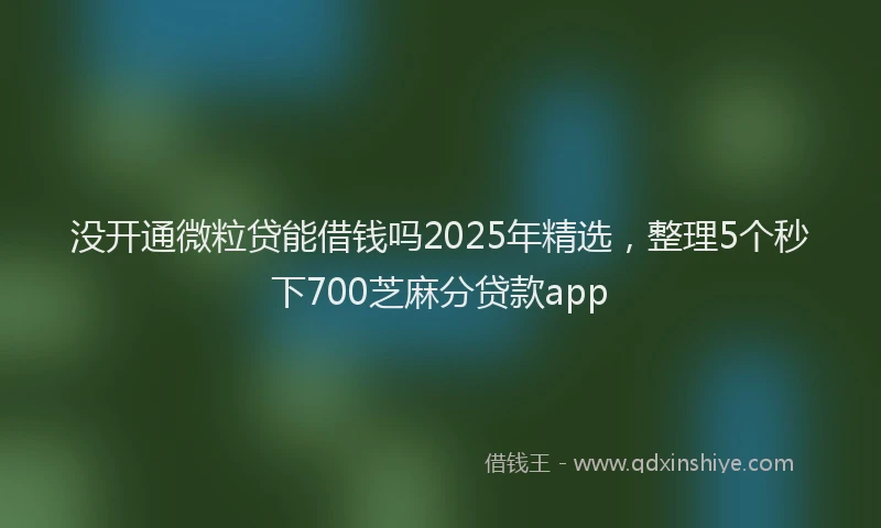 没开通微粒贷能借钱吗2025年精选，整理5个秒下700芝麻分贷款app