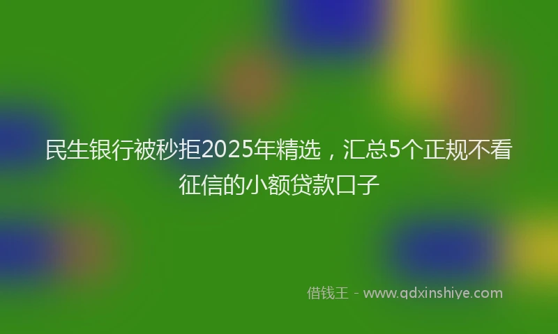 民生银行被秒拒2025年精选，汇总5个正规不看征信的小额贷款口子