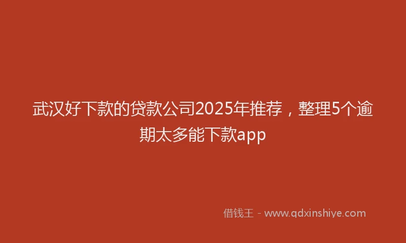 武汉好下款的贷款公司2025年推荐，整理5个逾期太多能下款app