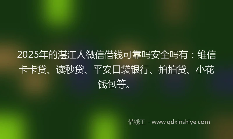 2025年的湛江人微信借钱可靠吗安全吗有：维信卡卡贷、读秒贷、平安口袋银行、拍拍贷、小花钱包等。