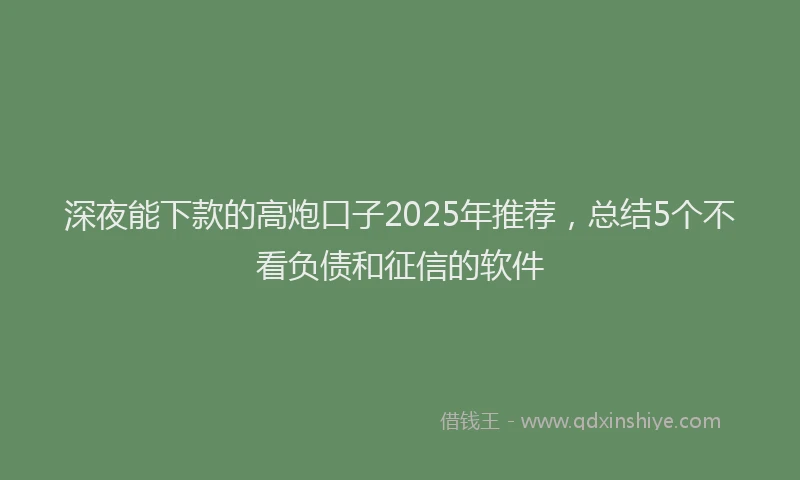 深夜能下款的高炮口子2025年推荐，总结5个不看负债和征信的软件