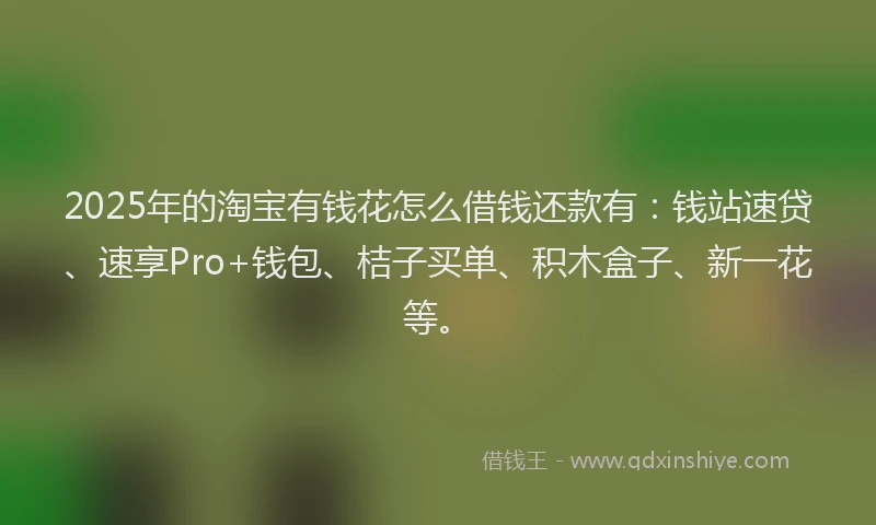 2025年的淘宝有钱花怎么借钱还款有：钱站速贷、速享Pro+钱包、桔子买单、积木盒子、新一花等。