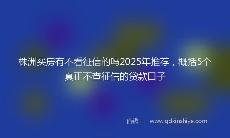 株洲买房有不看征信的吗2025年推荐，概括5个真正不查征信的贷款口子