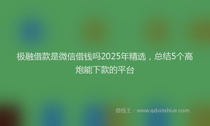 极融借款是微信借钱吗2025年精选，总结5个高炮能下款的平台