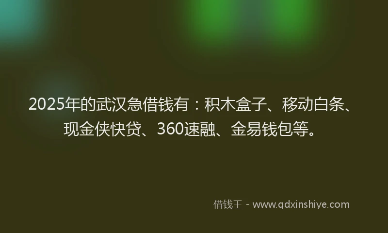 2025年的武汉急借钱有：积木盒子、移动白条、现金侠快贷、360速融、金易钱包等。