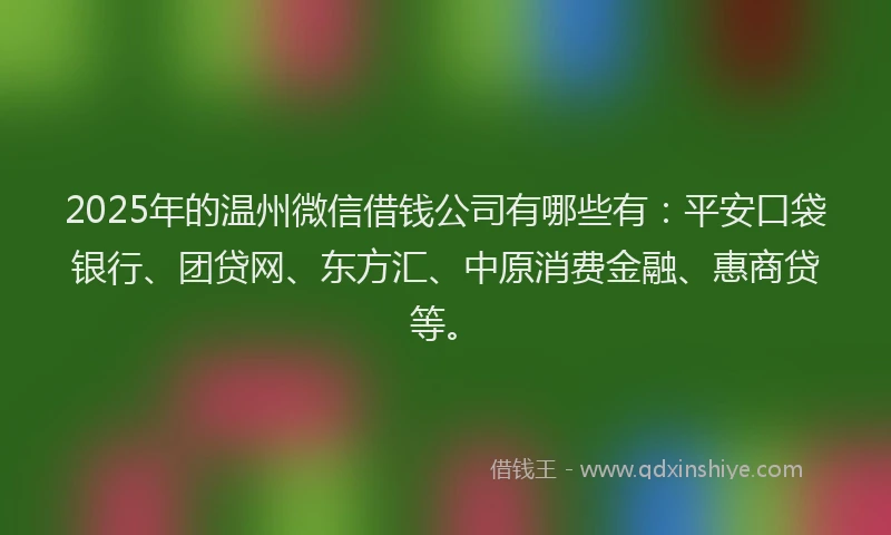 2025年的温州微信借钱公司有哪些有：平安口袋银行、团贷网、东方汇、中原消费金融、惠商贷等。