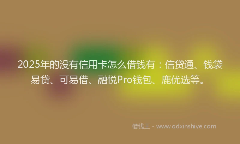 2025年的没有信用卡怎么借钱有：信贷通、钱袋易贷、可易借、融悦Pro钱包、鹿优选等。