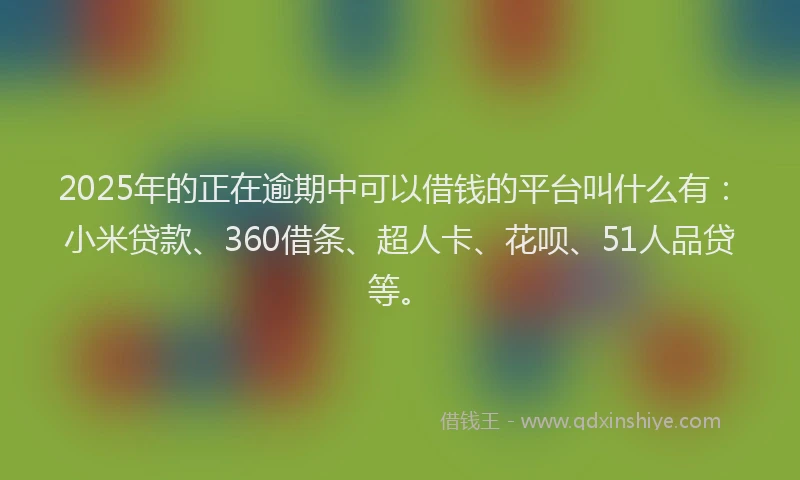 2025年的正在逾期中可以借钱的平台叫什么有：小米贷款、360借条、超人卡、花呗、51人品贷等。