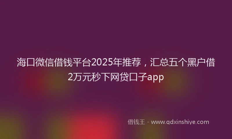 海口微信借钱平台2025年推荐，汇总五个黑户借2万元秒下网贷口子app