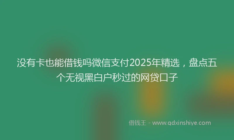 没有卡也能借钱吗微信支付2025年精选，盘点五个无视黑白户秒过的网贷口子