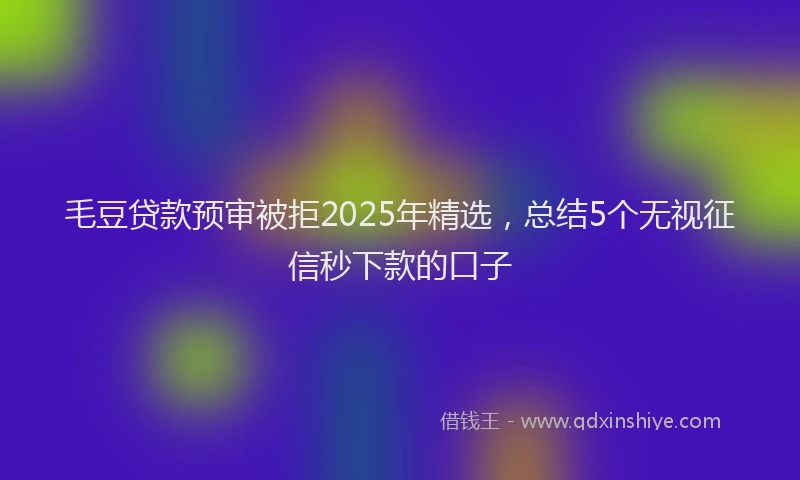 毛豆贷款预审被拒2025年精选，总结5个无视征信秒下款的口子