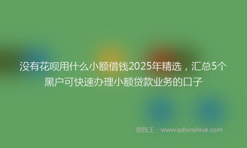 没有花呗用什么小额借钱2025年精选，汇总5个黑户可快速办理小额贷款业务的口子