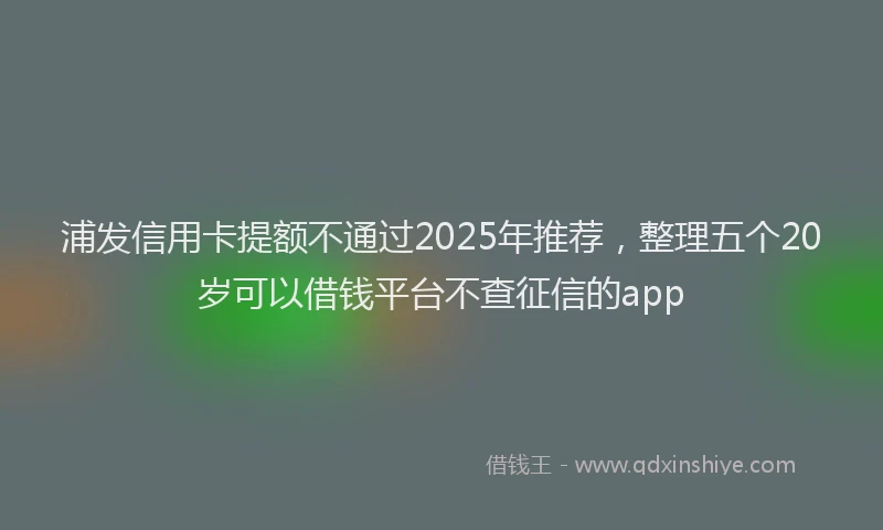 浦发信用卡提额不通过2025年推荐，整理五个20岁可以借钱平台不查征信的app