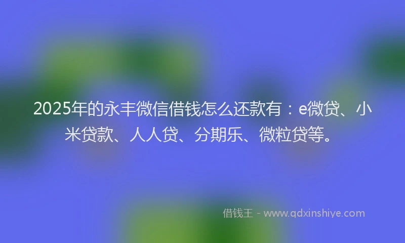2025年的永丰微信借钱怎么还款有：e微贷、小米贷款、人人贷、分期乐、微粒贷等。