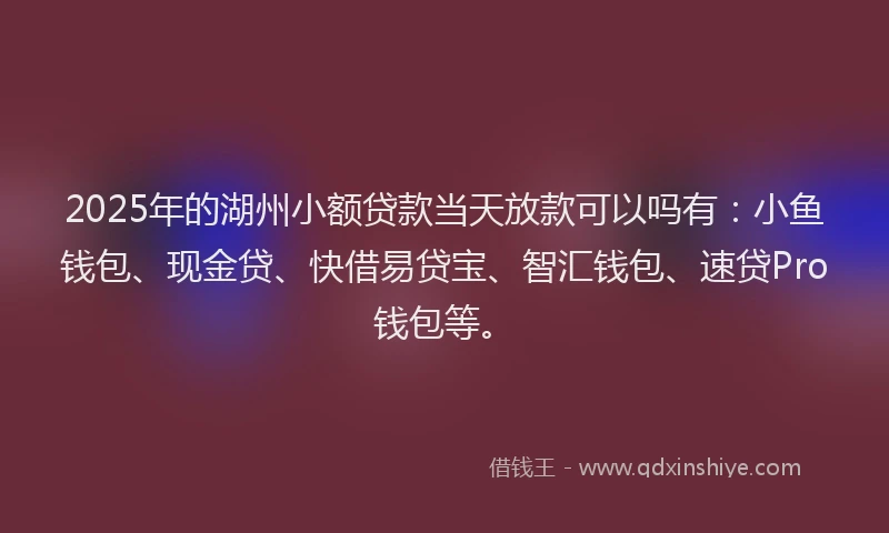 2025年的湖州小额贷款当天放款可以吗有：小鱼钱包、现金贷、快借易贷宝、智汇钱包、速贷Pro钱包等。
