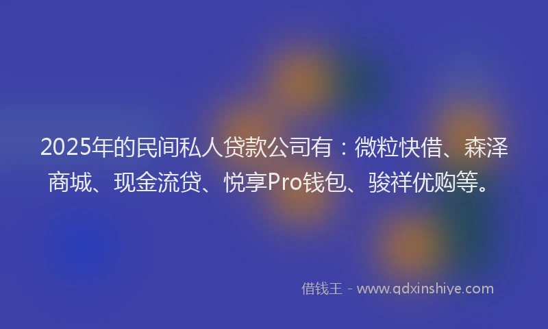 2025年的民间私人贷款公司有：微粒快借、森泽商城、现金流贷、悦享Pro钱包、骏祥优购等。