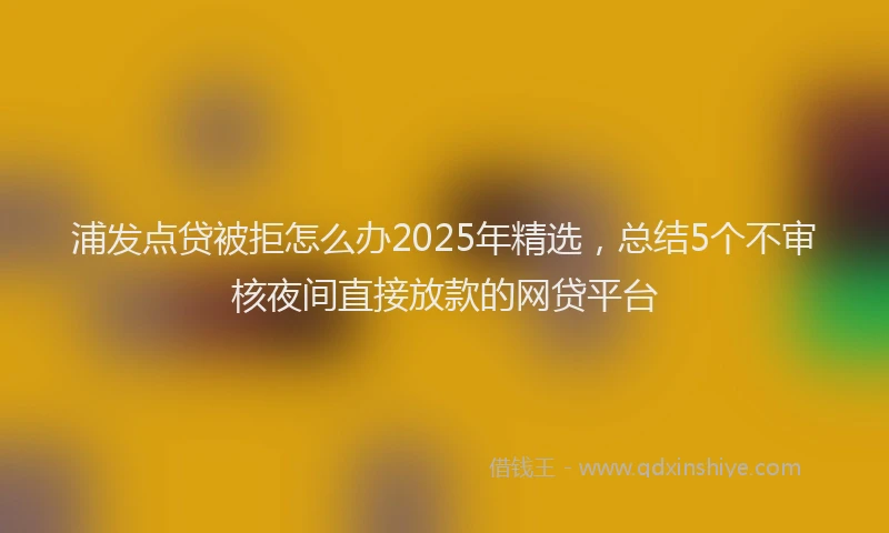 浦发点贷被拒怎么办2025年精选，总结5个不审核夜间直接放款的网贷平台
