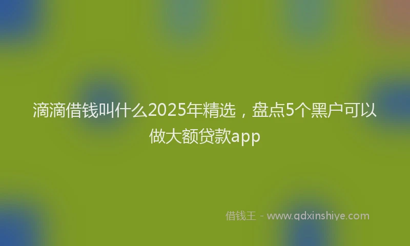 滴滴借钱叫什么2025年精选，盘点5个黑户可以做大额贷款app