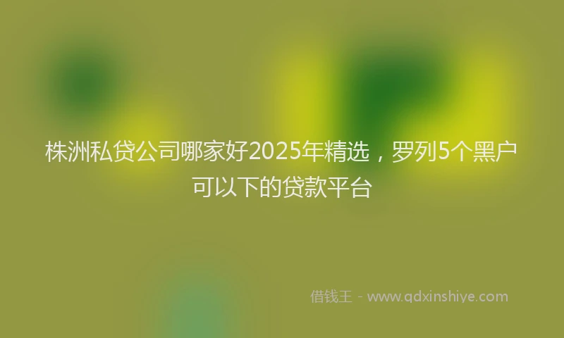 株洲私贷公司哪家好2025年精选，罗列5个黑户可以下的贷款平台