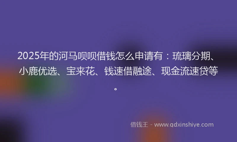 2025年的河马呗呗借钱怎么申请有：琉璃分期、小鹿优选、宝来花、钱速借融途、现金流速贷等。